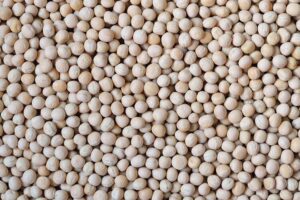 Lee más sobre el artículo los Alberjones en la agricultura