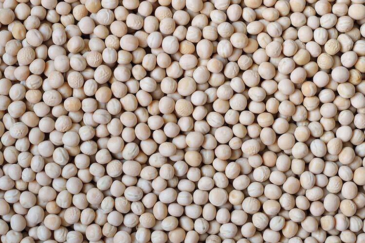 Lee más sobre el artículo los Alberjones en la agricultura